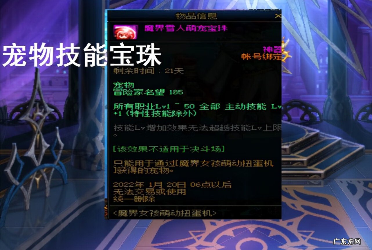 dnf宠物技能怎么使用 DNF宠物技能怎么用