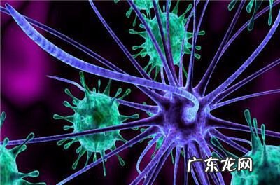 脑外伤后癫疯病发病期 脑外伤引起的癫疯病