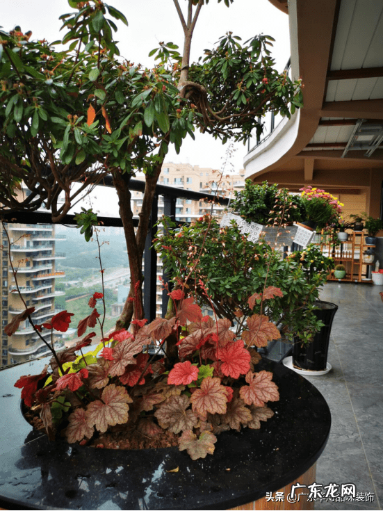 餐厅的地板铺什么颜色的好 餐厅地板什么颜色好看