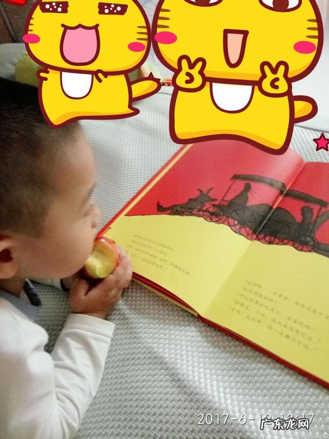 小狼小狼简介 小狼小狼主要内容