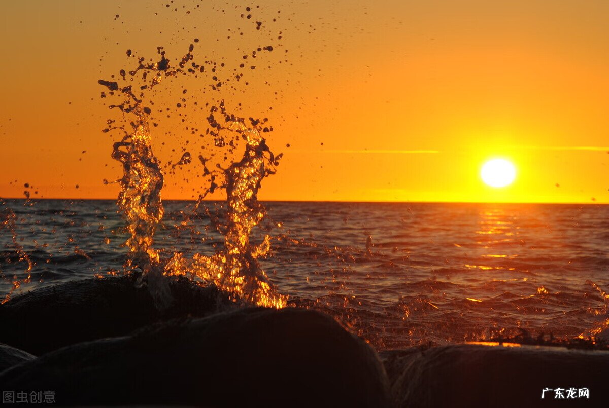 龙虎武器成长树 诸天武器成长树