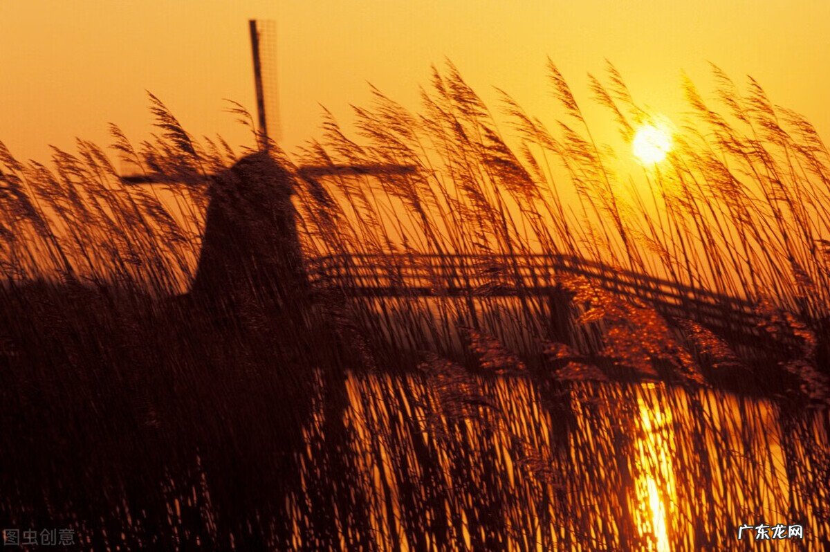 龙虎武器成长树 诸天武器成长树