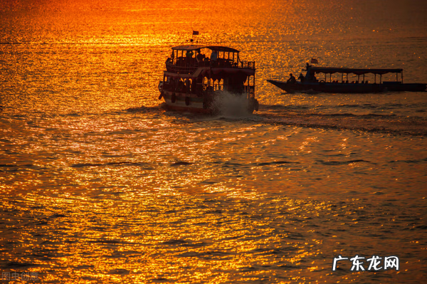 龙虎武器成长树 诸天武器成长树