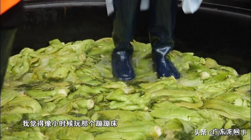 腌制食品包括什么 腌制食品有哪些