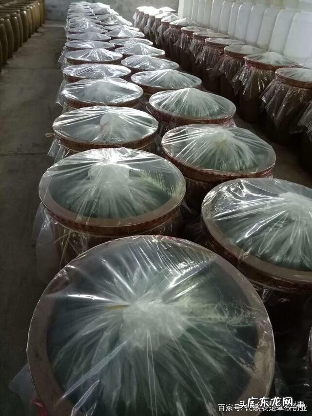 腌制食品包括什么 腌制食品有哪些