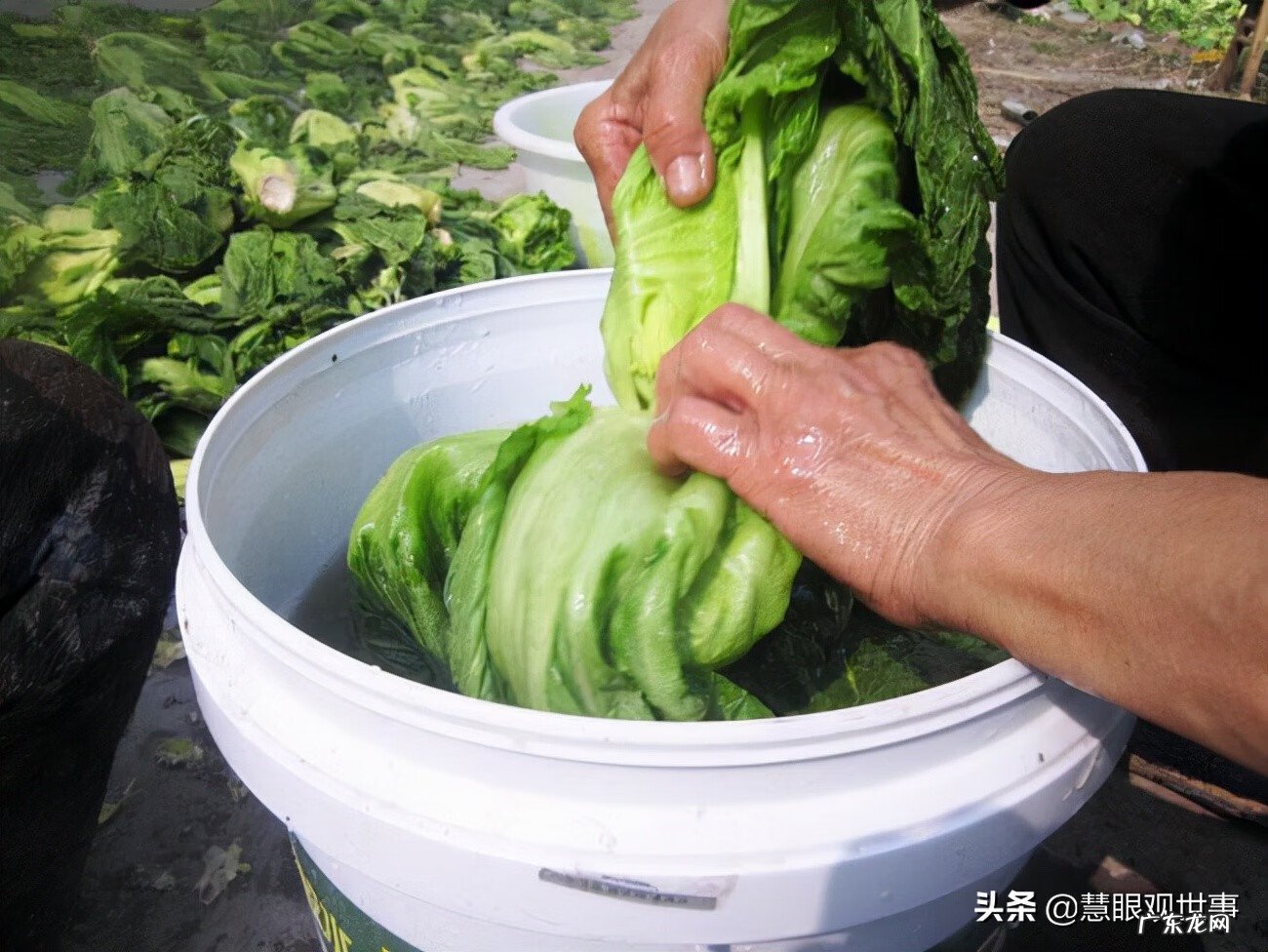 腌制食品包括什么 腌制食品有哪些