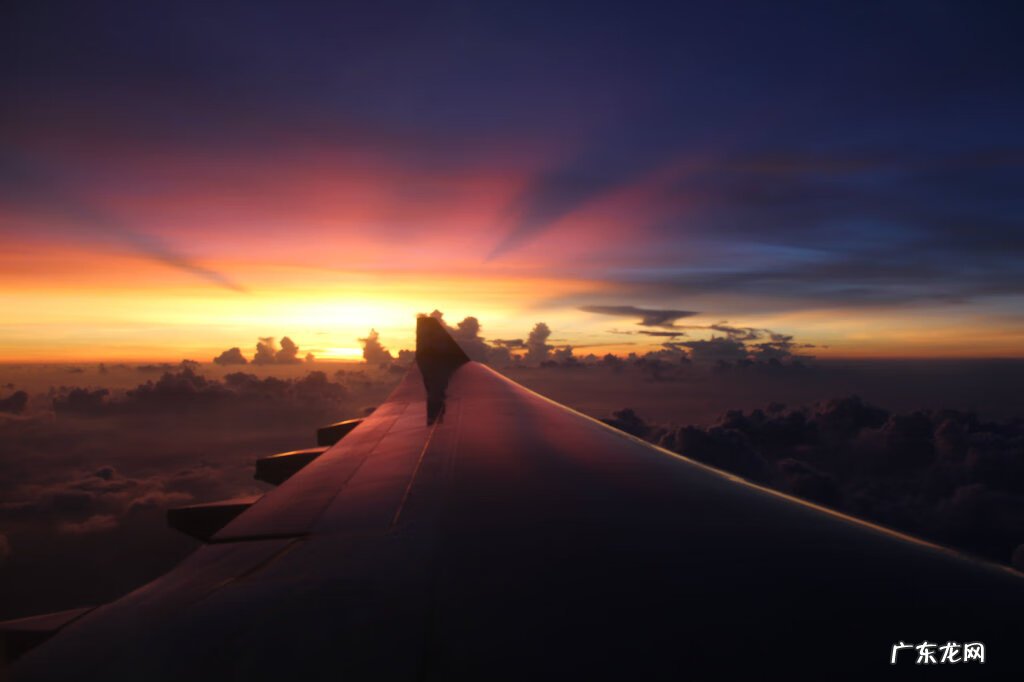鸟在窗外叫有何预兆 窗外有鸟预兆