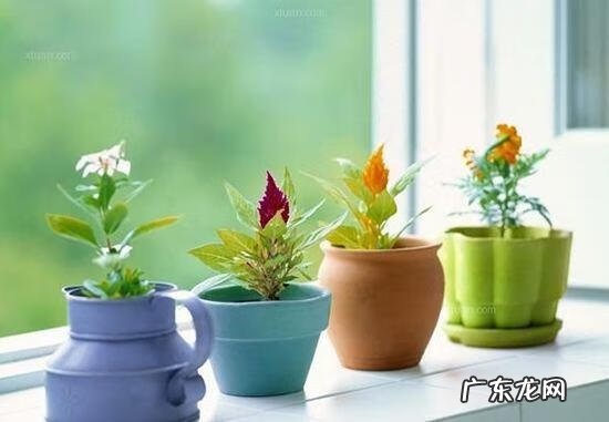 纸花的寓意 纸花风水图解