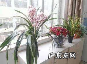 纸花的寓意 纸花风水图解