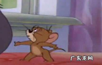 老鼠最怕气味排名第一 老鼠最怕气味排名第一飞鼠在屋顶怎样才赶走