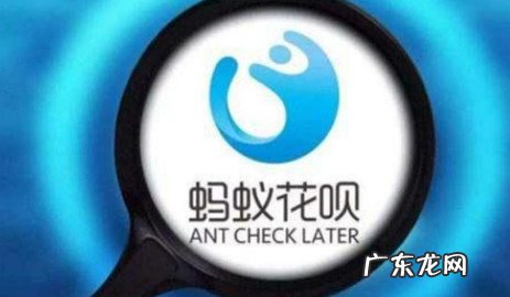 蚂蚁合花是怎么回事 蚂蚁合花是干什么的