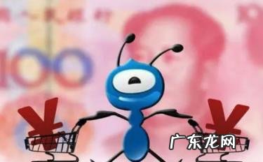 蚂蚁合花是怎么回事 蚂蚁合花是干什么的