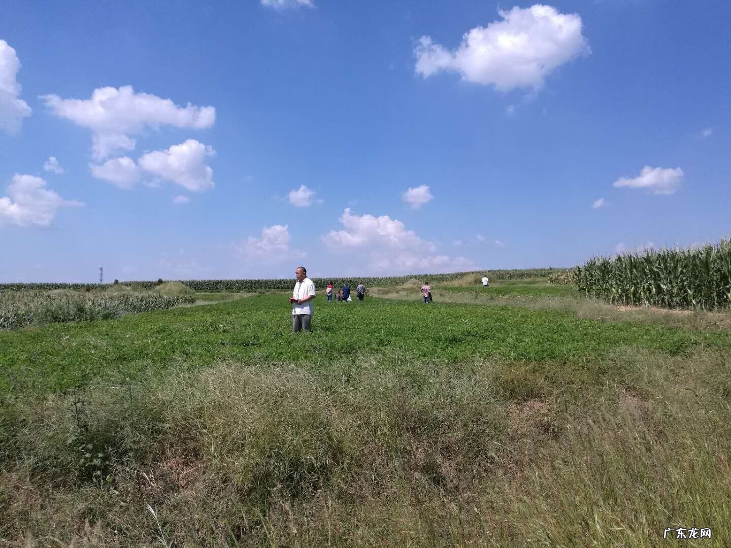 三合风水知识讲解 三合风水操作步骤