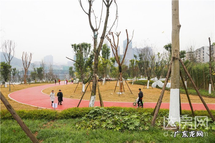 焦虑症如何风水化解 焦虑症 风水