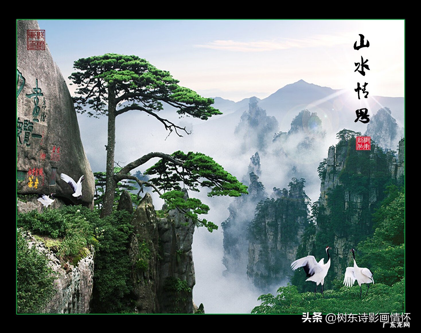 迎客松在风水上有什么讲究 迎客松灯的寓意是什么