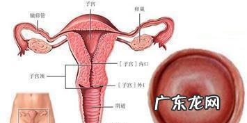 慢性宫颈炎要治疗吗 慢性宫颈炎怎么治疗?