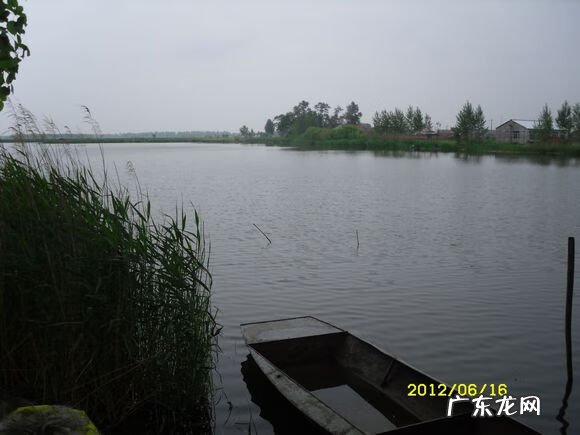 崔氏家族群 崔氏家族风水