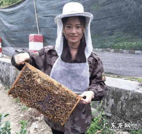 目前养殖什么赚钱快 致富项目农村养殖