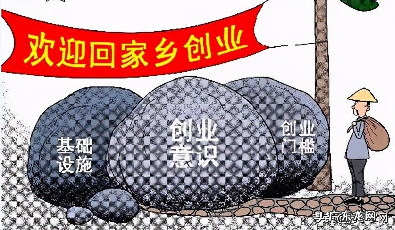 目前养殖什么赚钱快 致富项目农村养殖