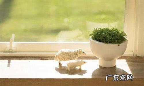 emba培训学校 emba教学