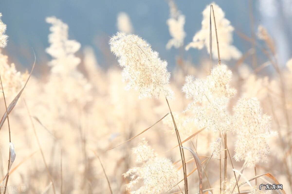 关于暖阳的唯美图片 暖阳阳好看图片