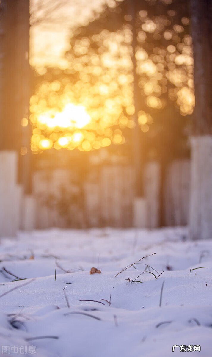 关于暖阳的唯美图片 暖阳阳好看图片