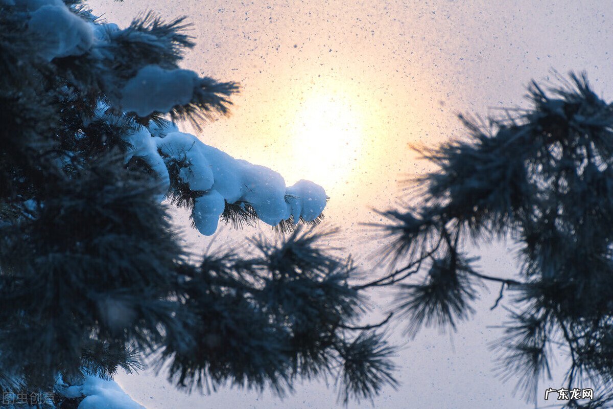 关于暖阳的唯美图片 暖阳阳好看图片