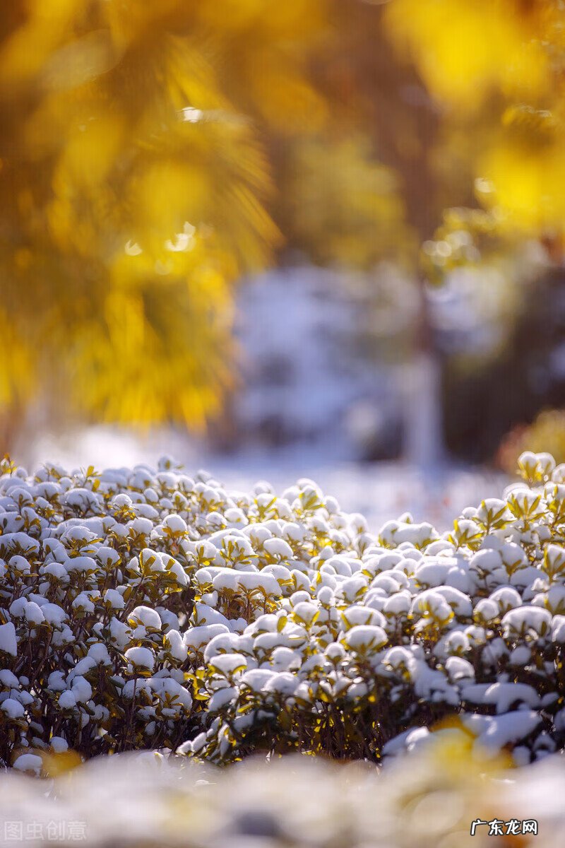 关于暖阳的唯美图片 暖阳阳好看图片
