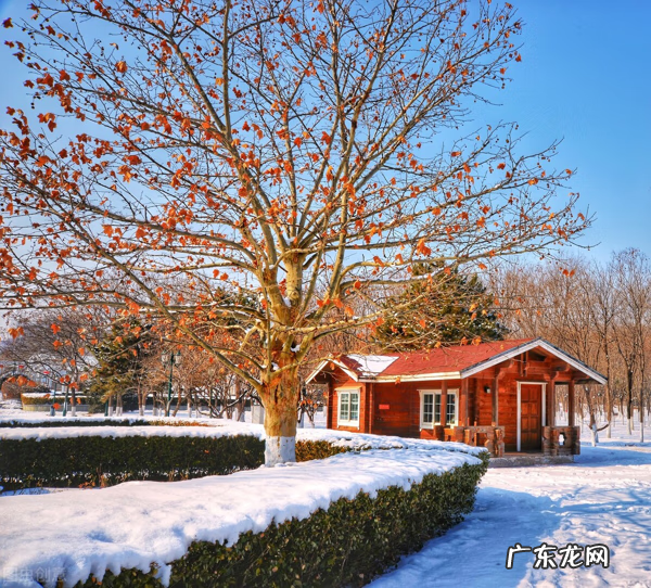 关于暖阳的唯美图片 暖阳阳好看图片