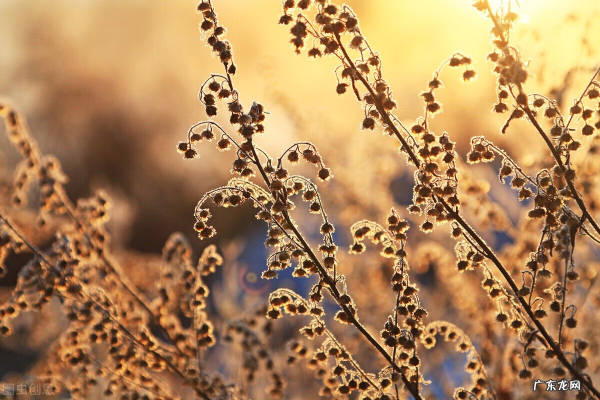 关于暖阳的唯美图片 暖阳阳好看图片