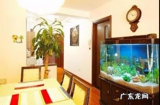 心脏不好风水怎么调理 哪些风水对心脏不好