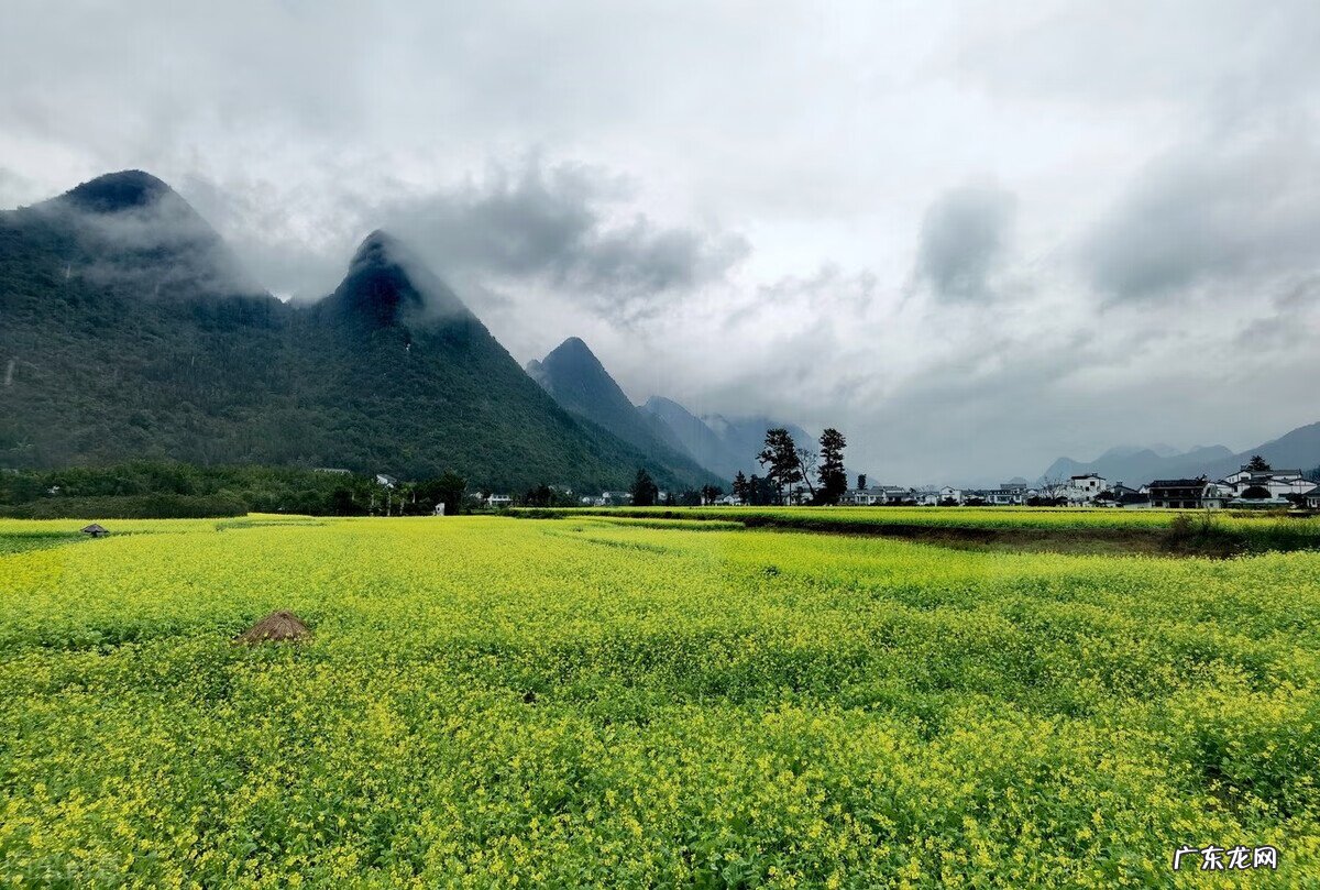 房屋后山风水 屋后有山风水好吗