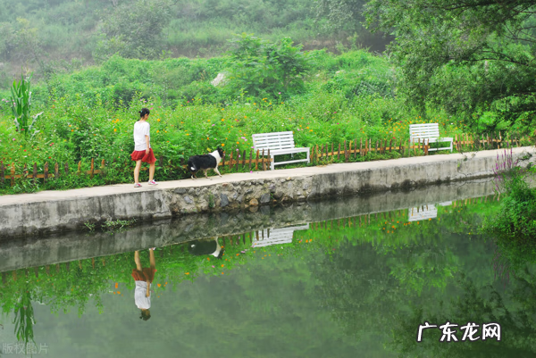 房屋后山风水 屋后有山风水好吗