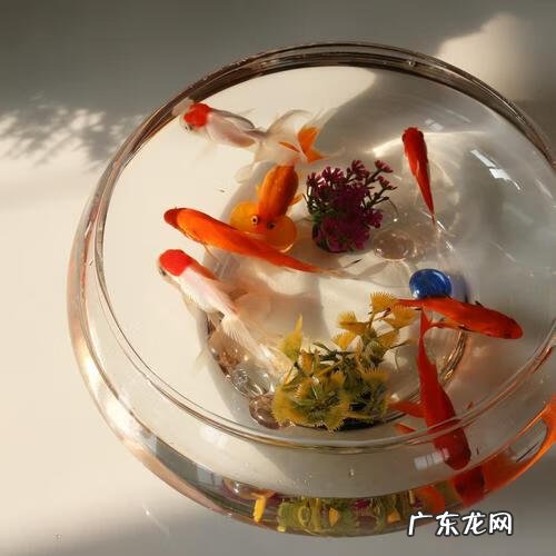 风水大师化解火烧天门 风水火烧天门怎么化解