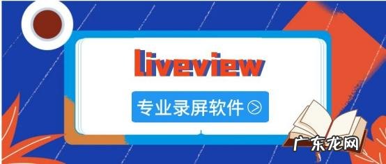 liveviewing什么意思 LiveViewer