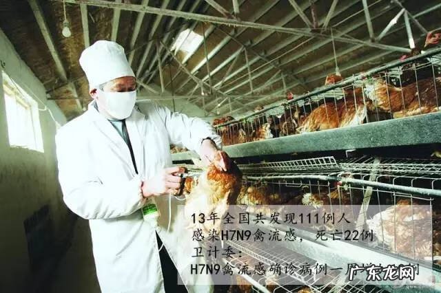 办公室三吉位 松原市风水吉位