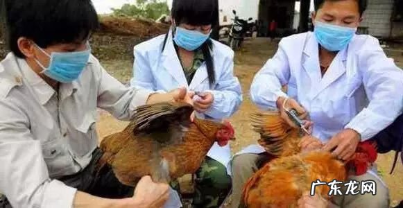 办公室三吉位 松原市风水吉位