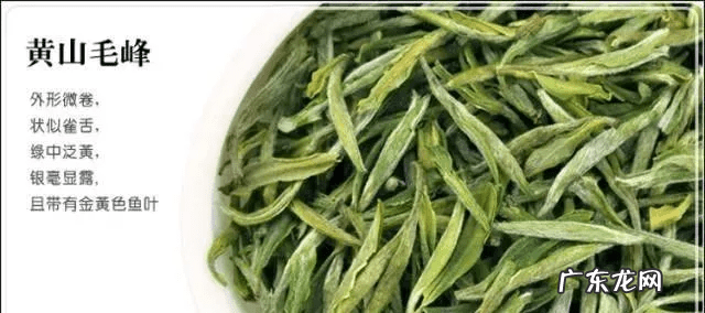 毛尖图片真实照片 毛尖