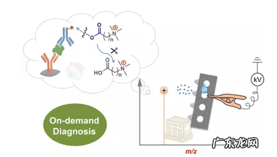 验孕试纸一般多少钱 试纸多少钱一个?
