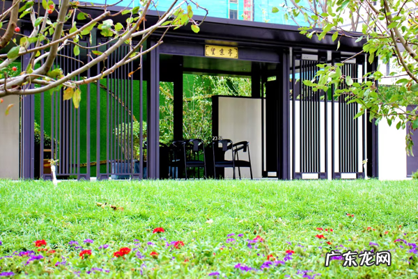 国美和央美 望京鸟瞰图