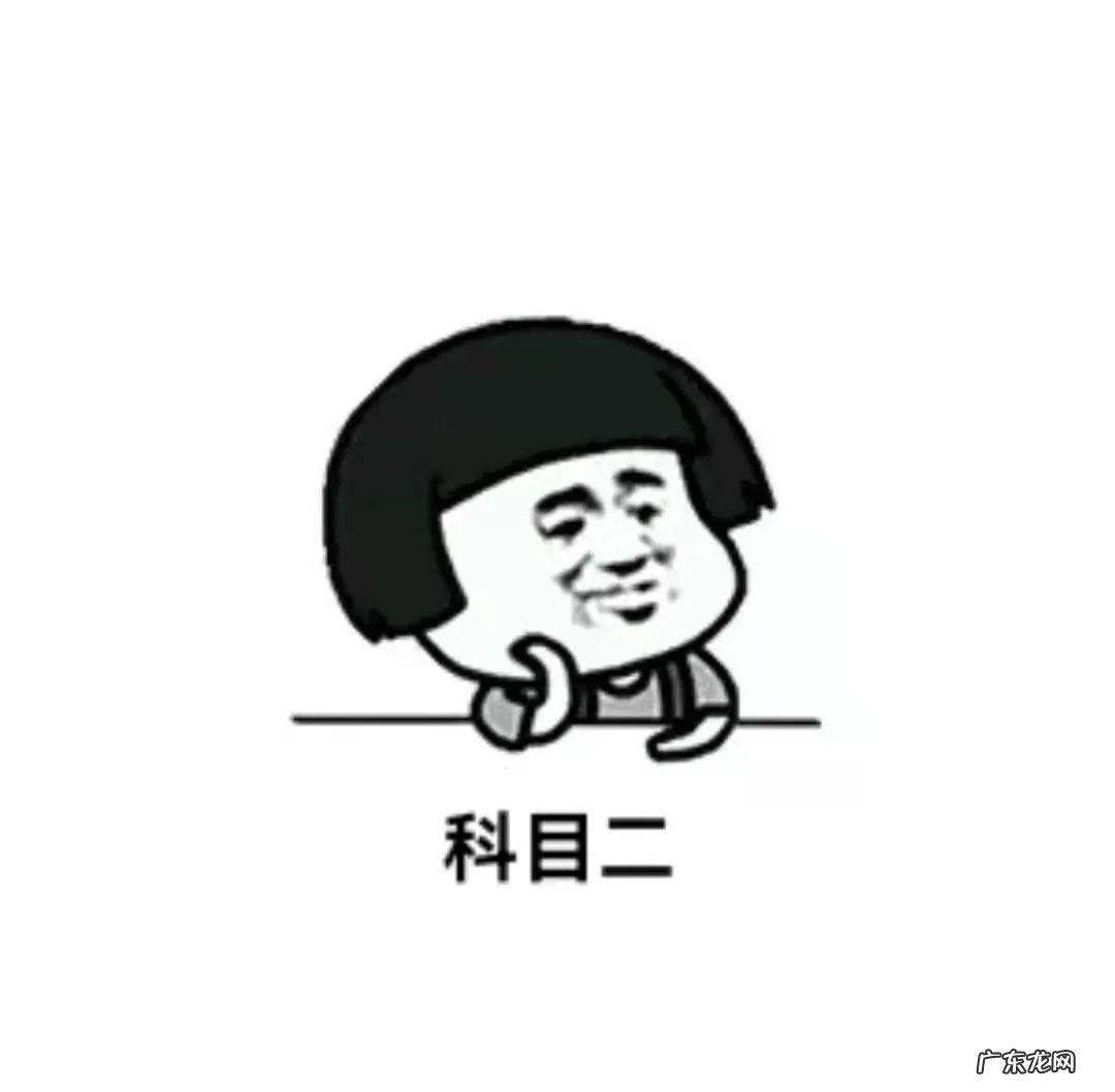 驾驶基础驾驶技术 小轿车驾驶技术