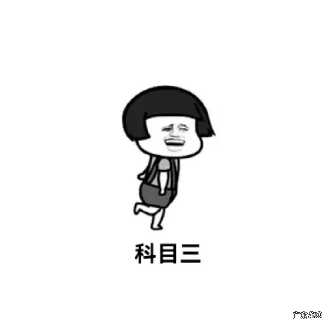 驾驶基础驾驶技术 小轿车驾驶技术