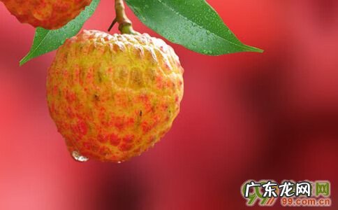 吃什么补精最快 吃什么治疗阳痿