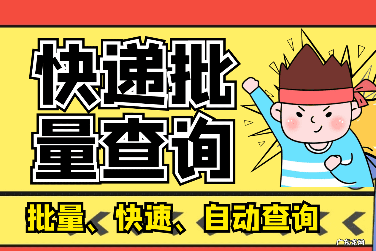 顺丰快递查询 顺丰速递单号查询讠