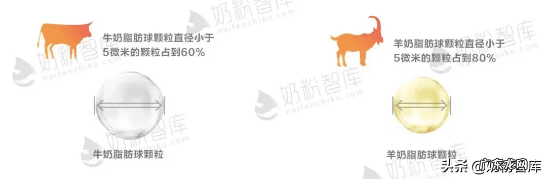 羊奶粉哪个品牌好 羊奶品牌有哪些