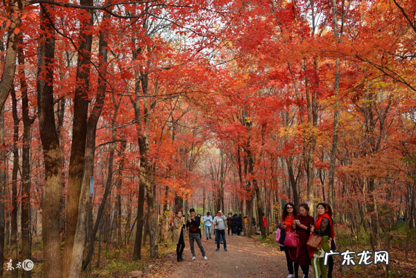 吉林市风水最好的位置 吉林市风水图