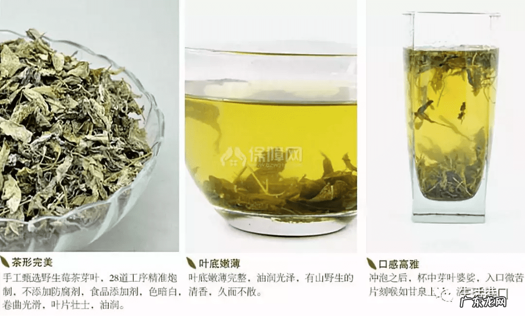 女人喝莓茶有什么好处 莓茶的作用和功效图片