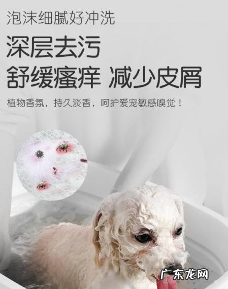 宠物药用沐浴露 好用的宠物沐浴露