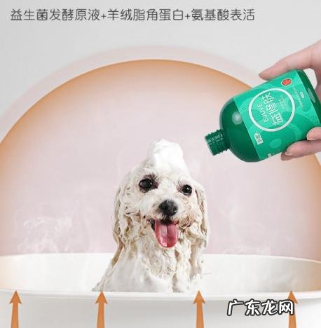 艾沐宠物沐浴露怎么样 小宠益修肤宠物沐浴露怎么样好用吗
