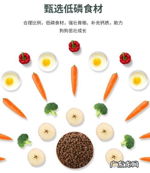 靓贝肠胃舒狗粮怎么样 靓贝狗粮好不好吃